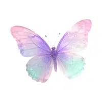 Butterfly | Small Animals Names