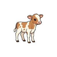 Calf