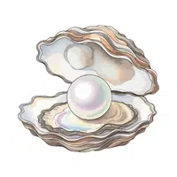 Clam