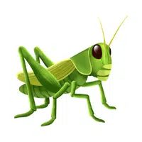Cricket | Small Animals Names