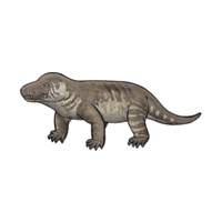 Cynognathus | Prehistoric Animals Names