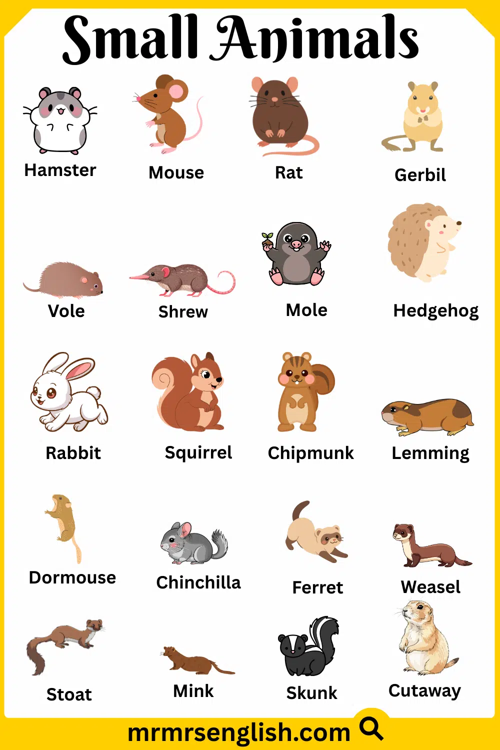 Different Types of Small Animals Names with Pictures