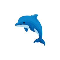 Dolphin