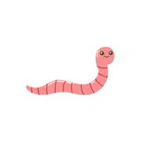 Earthworm | Small Animals Name