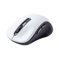 Ergonomic Mouse | Computer Input Devices Names