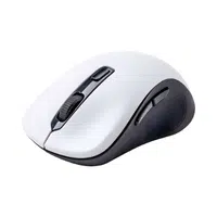 Ergonomic Mouse | Computer Input Devices Names 