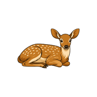Fawn | Cute Animals Names