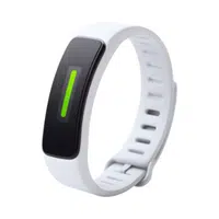 Fitness Tracker Input 
