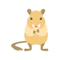 Gerbil | Small Animals Names