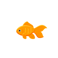 Goldfish | Cute Animals Names