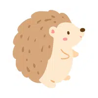 Hedgehog | Small Animals Names