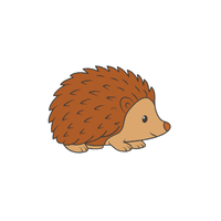 Hedgehog | Cute Animals Names