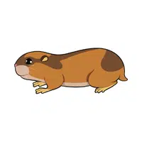 Lemming | Small Animals Names