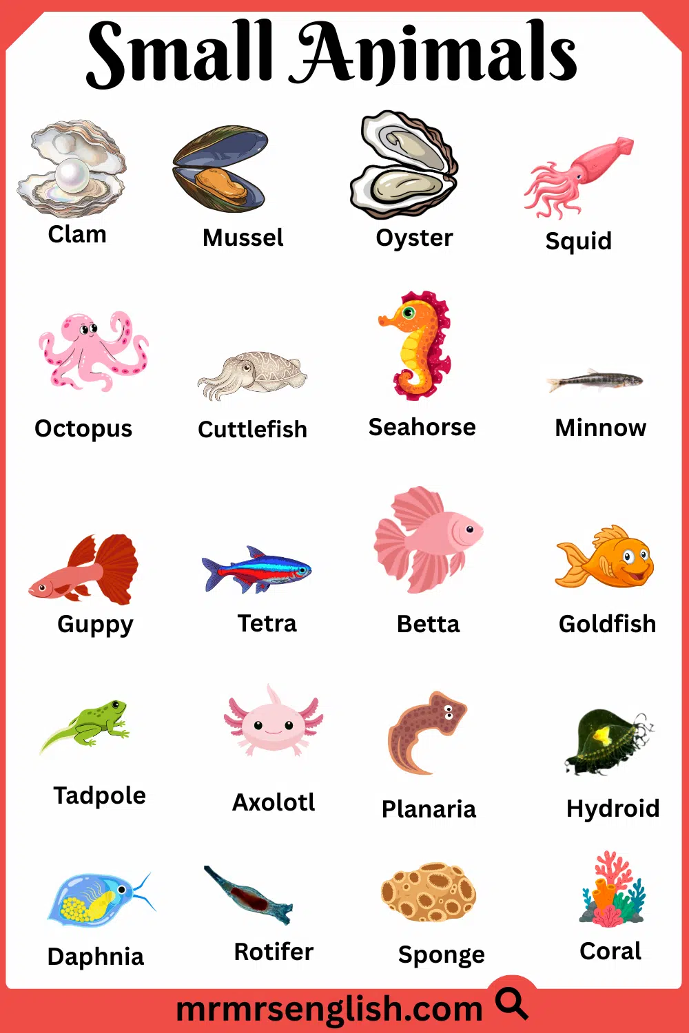 List of Small Animals Names with Images