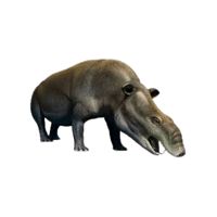 Moeritherium