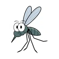 Mosquito | Small Animals Names