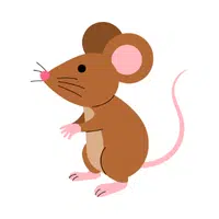 Mouse | Small Animals Names
