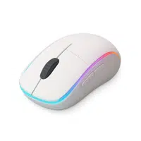 Mouse | Computer Input Devices Names