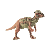 Pachycephalosaurus | Prehistoric Animals Names