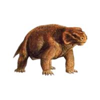 Pareiasaurus | Prehistoric Animals Names