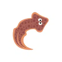 Planaria