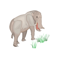 Platybelodon