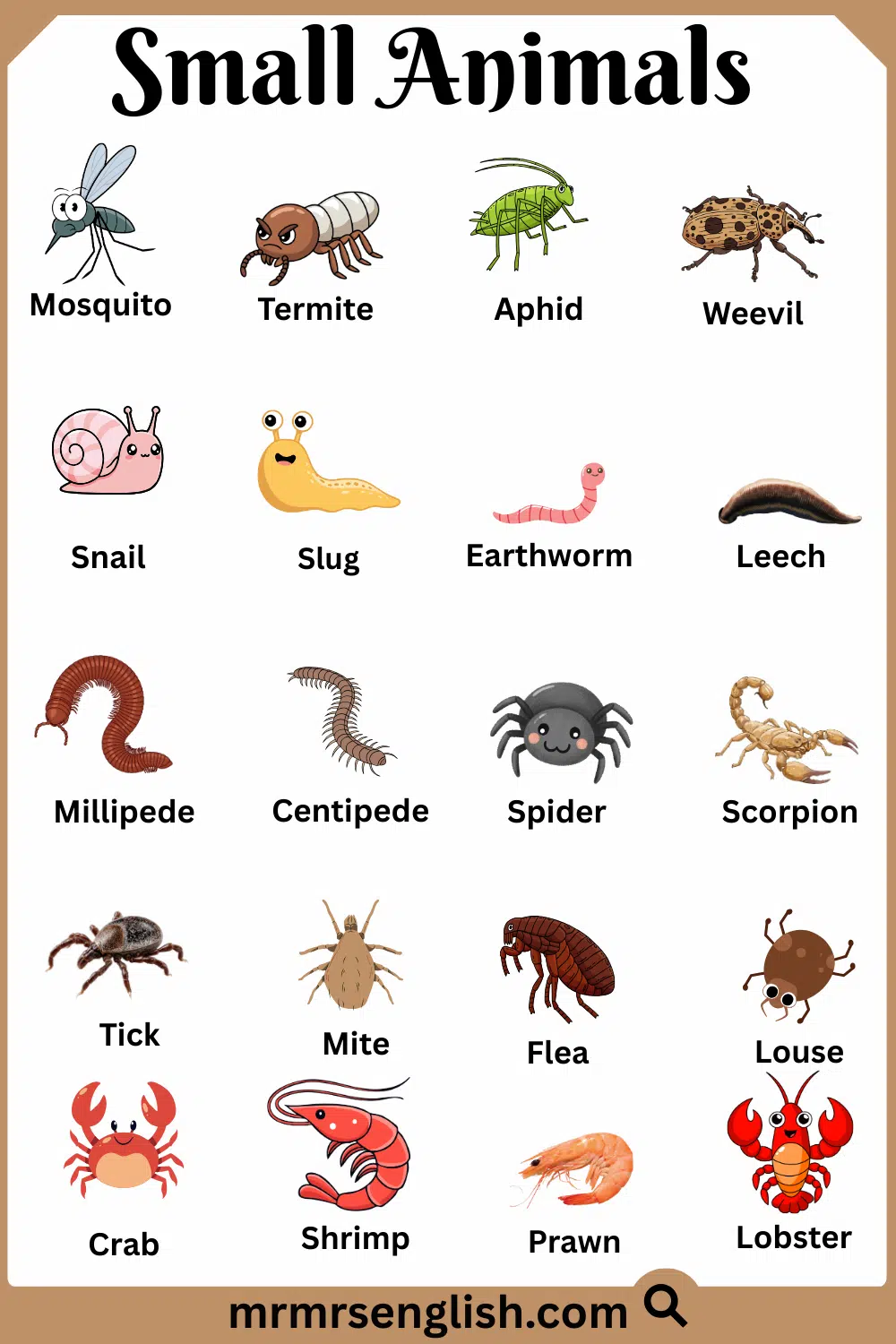Popular Small Animals Names With Pictures