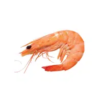 Prawn
