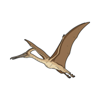 Pteranodon | Prehistoric Animals Names