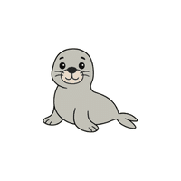 Seal | Cute Animals Names