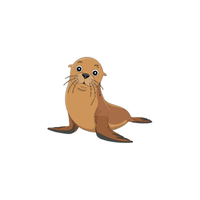 Sealion | Cute Animals Names