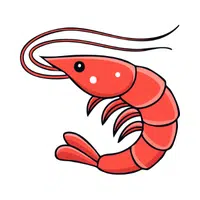 Shrimp
