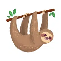 Sloth | Small Animals Names