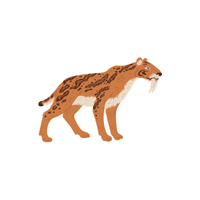 Smilodon | Prehistoric Animals Names