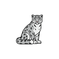 Snow Leopard | Cute Animals Names