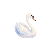 Swan | Cute Animals Names