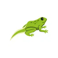 Tadpole