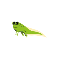 Tadpole | Cute Animals Names