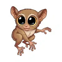 Tarsier | Small Animals Names