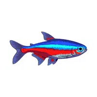 Tetra