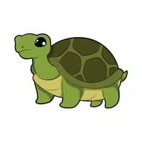Tortoise | Small Animals Names