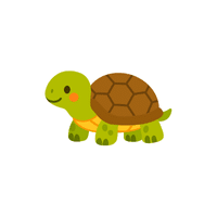 Tortoise | Cute Animals Names