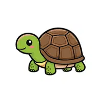 Turtle | Small Animals Names
