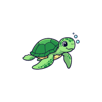 Turtle | Cute Animals Names