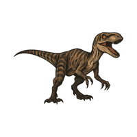 Velociraptor | Prehistoric Animals Names