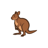 Wallaby | Cute Animals Names