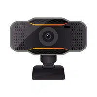 Webcam Microphone | Computer Input Devices Names 