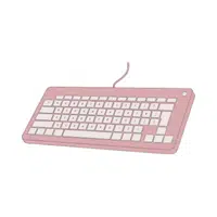 Wired Keyboard | Computer Input Devices Names 