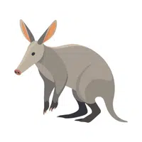 Aardvark