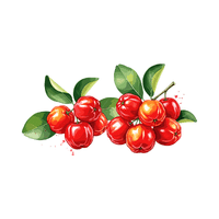 Acerola | Small Fruits Names
